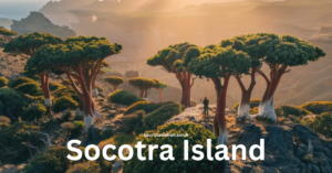 Socotra Island