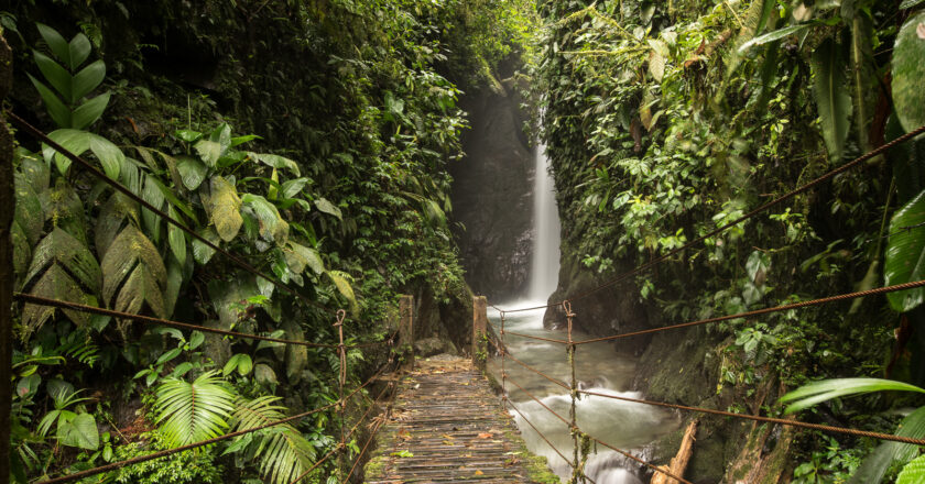 Discovering Mindo Ecuador A Hidden Gem in the Cloud Forest